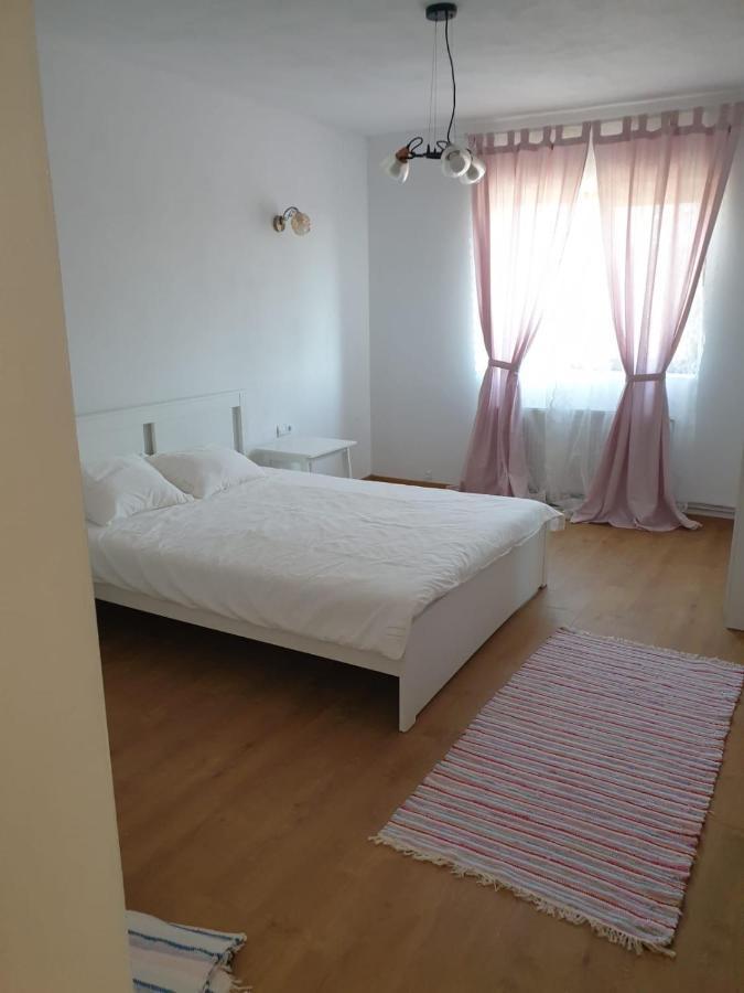Casuta De La Munte Hotel Sfodea Kültér fotó