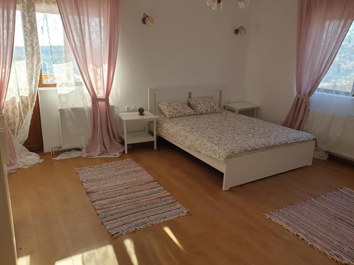 Casuta De La Munte Hotel Sfodea Kültér fotó