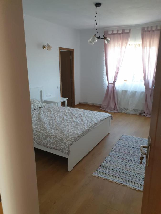 Casuta De La Munte Hotel Sfodea Kültér fotó