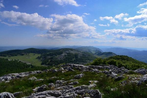 Casuta De La Munte Hotel Sfodea Kültér fotó