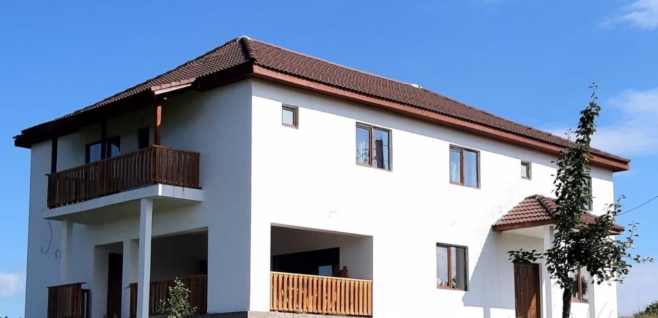 Casuta De La Munte Hotel Sfodea Kültér fotó
